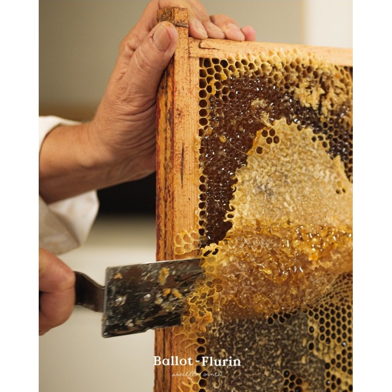 Grog BIO réchauffant au miel & propolis - 125g - Ballot Flurin