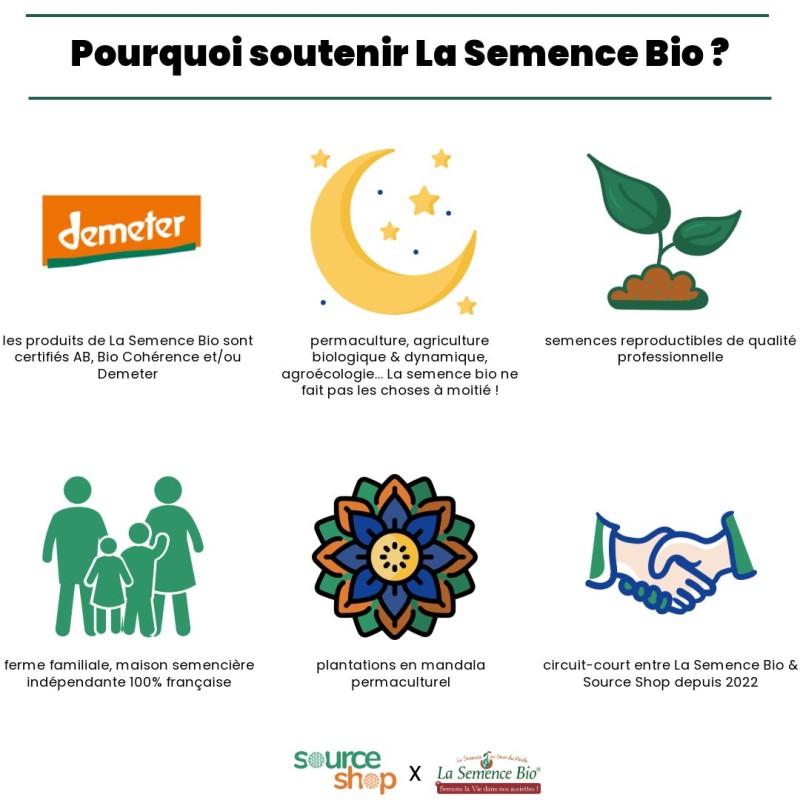 Graines Concombre Marketmore BIO - La Semence Bio