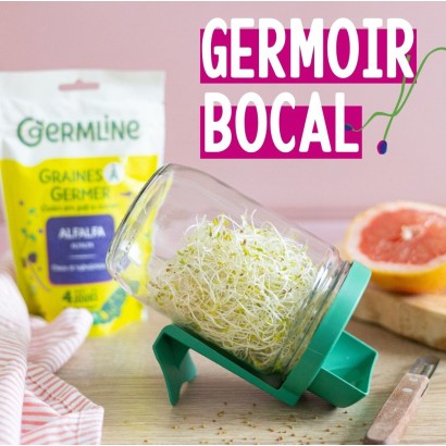Germoir bocal en verre - Germline