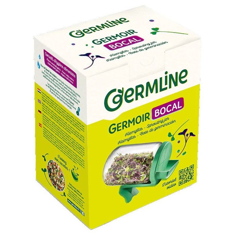 Germoir bocal en verre - Germline