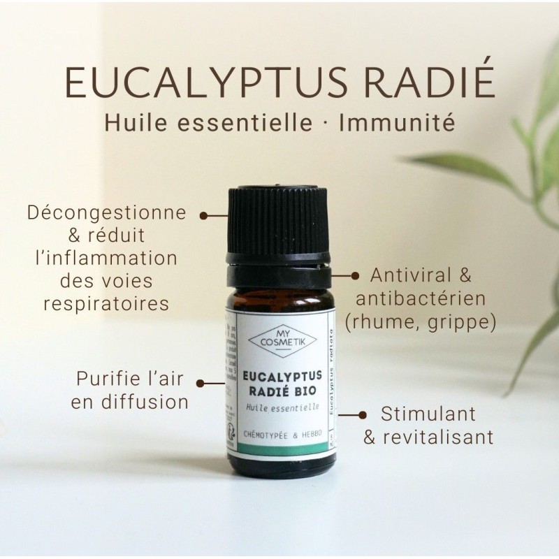 Huile essentielle d'Eucalyptus Radié BIO - MyCosmetik