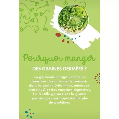 Pourquoi manger des graines germées ?