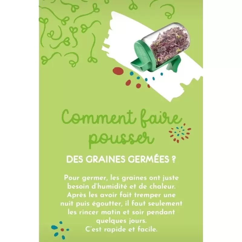 Graines à germer Poireau BIO - 50g - Germline