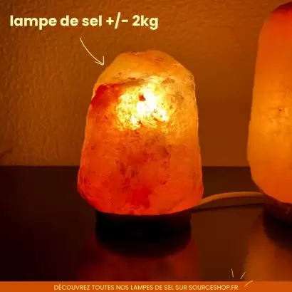 Lampe cristal de sel Himalaya - 2kg