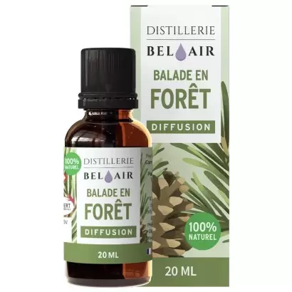 Synergie Balade en Forêt - 20ml - Parfum d'ambiance bio - La Distillerie Bel Air