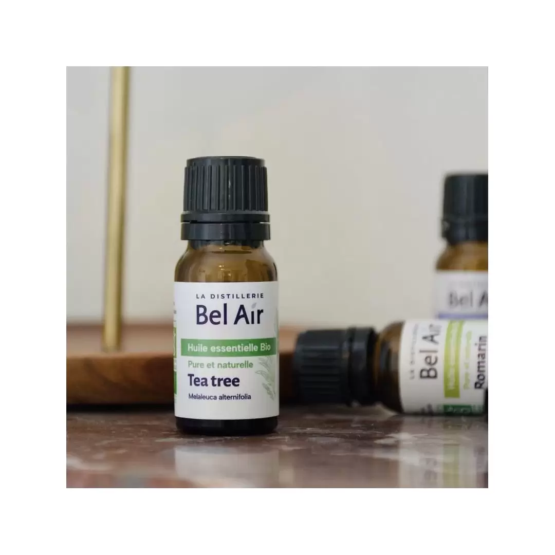 Huile essentielle de Tea Tree BIO - Arbre à Thé - La Distillerie Bel Air