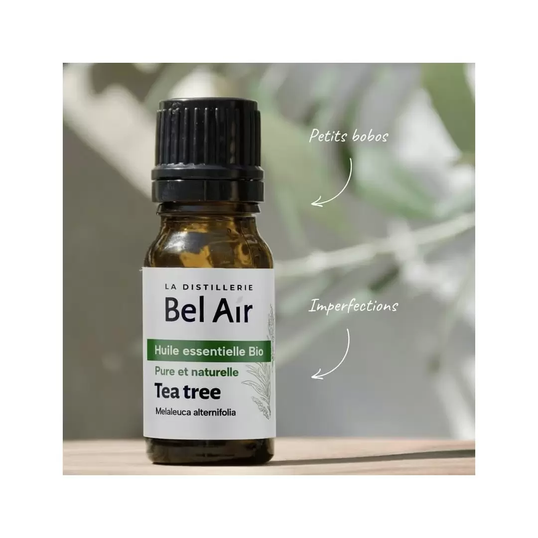 Huile essentielle de Tea Tree BIO - Arbre à Thé - La Distillerie Bel Air