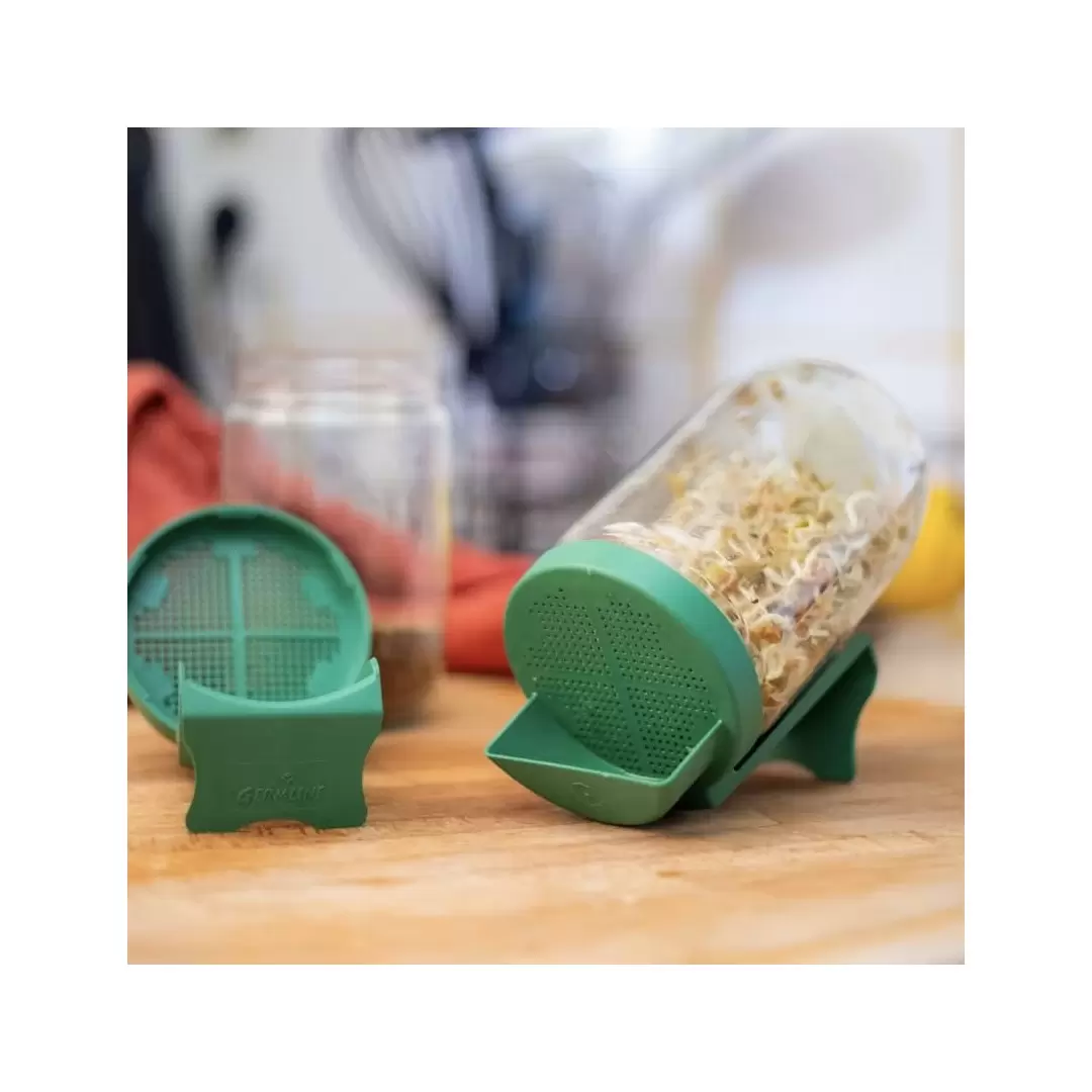 Germoir bocal en verre - Germline