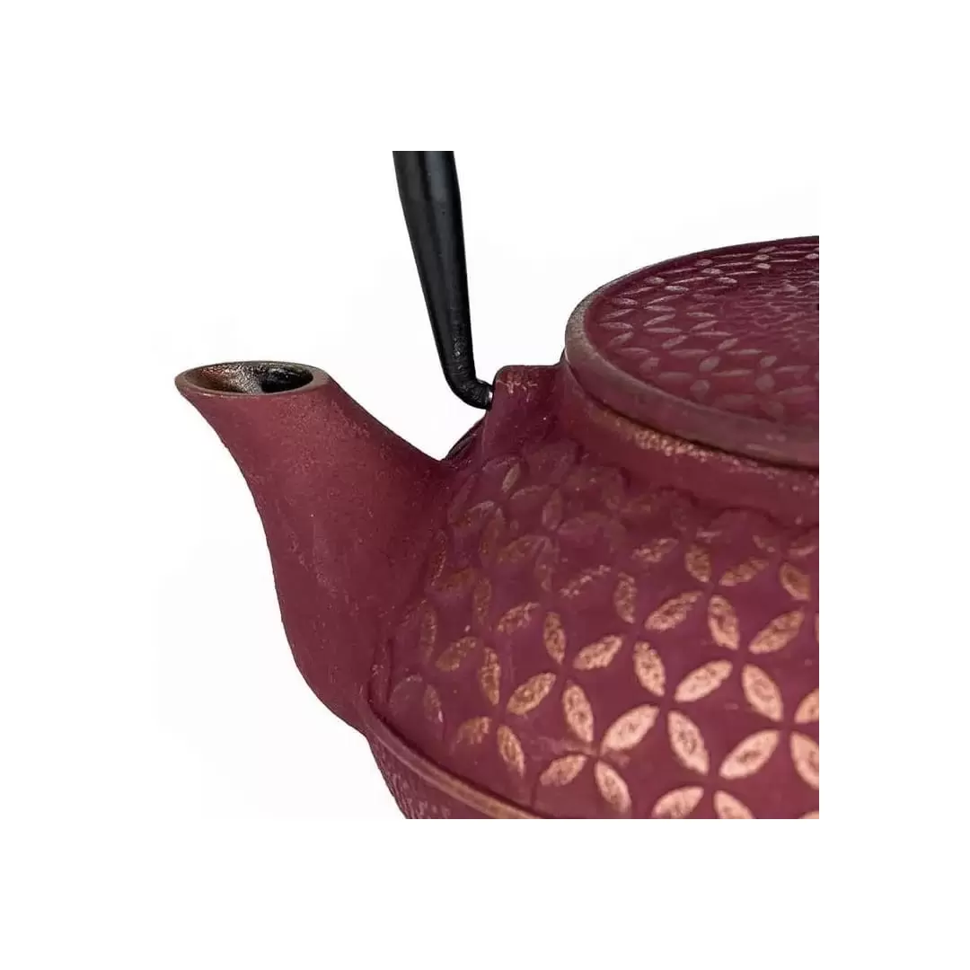 Théière Tsubaki en fonte rose vermillon 0.6L – Aromandise