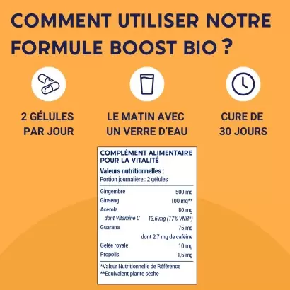 Gélules Formule Boost Bio – Laboratoires Enova