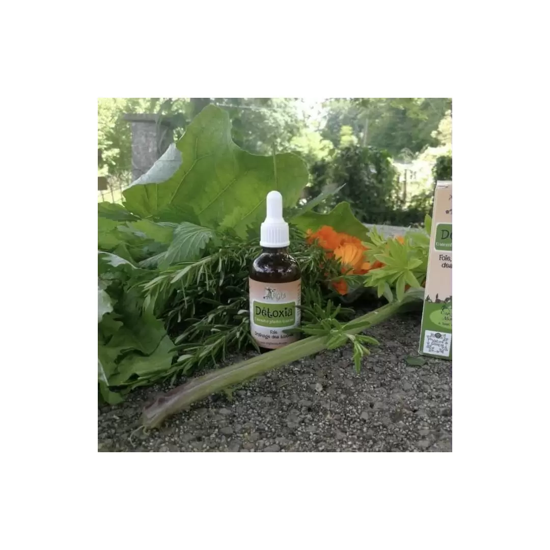 Concentré de plantes BIO - foie & drainage des toxines - Détoxia