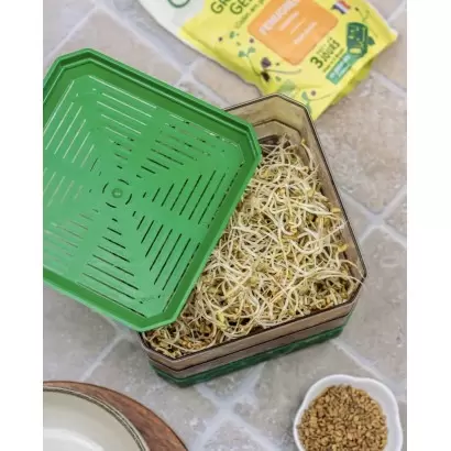 Germoir à 2 étages - Germline