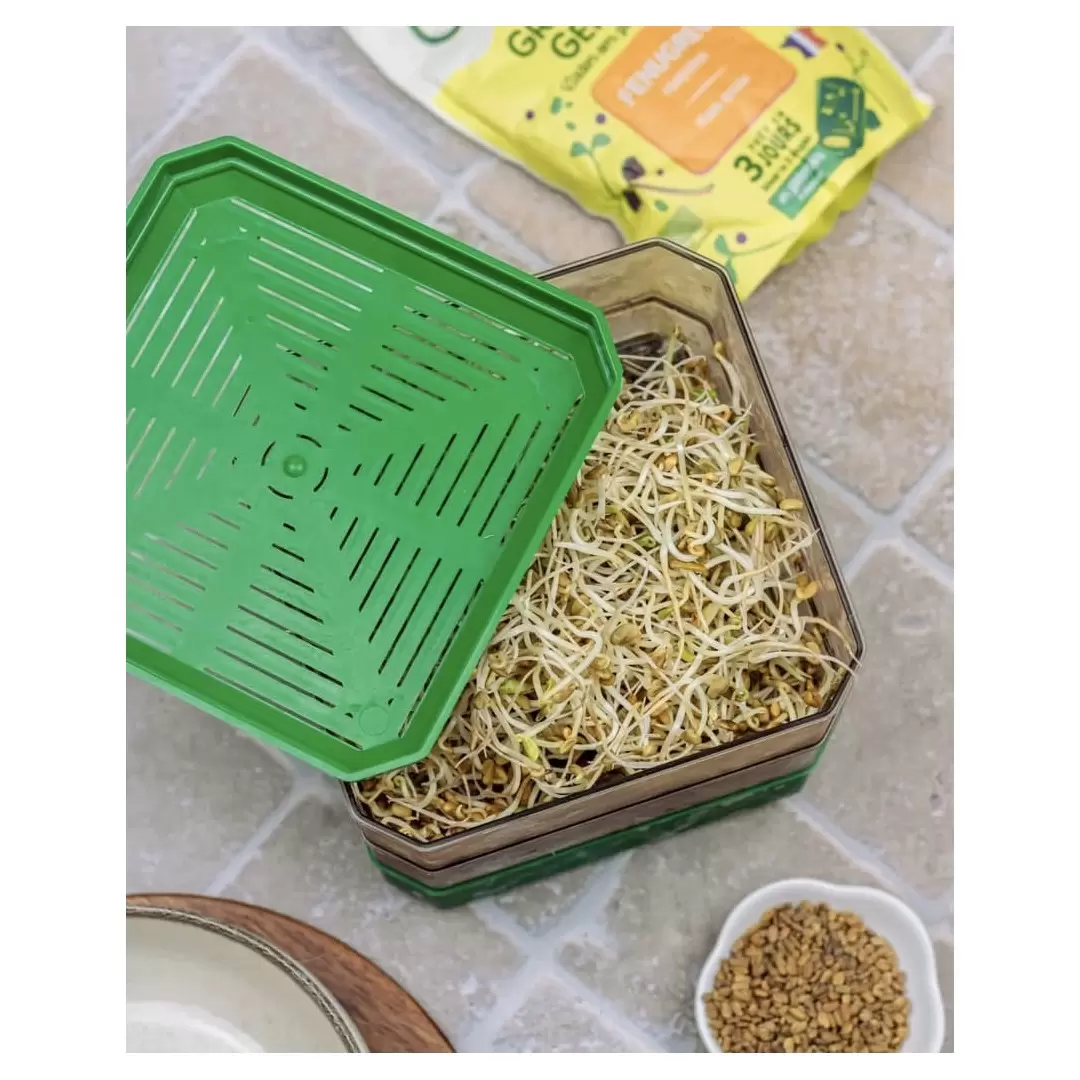 Germoir à 2 étages - Germline