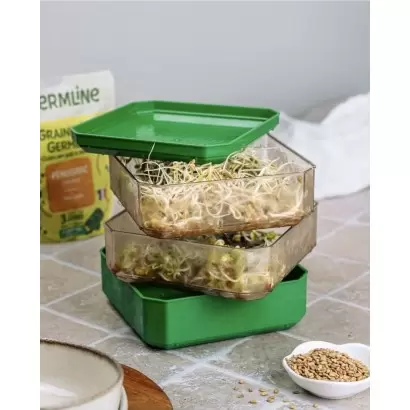 Germoir à 2 étages - Germline