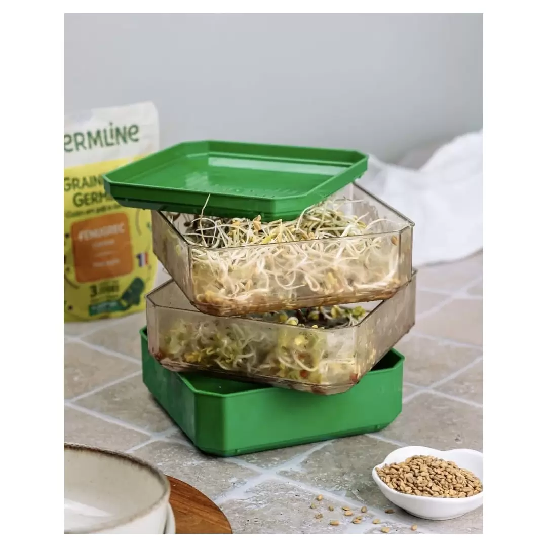 Germoir à 2 étages - Germline