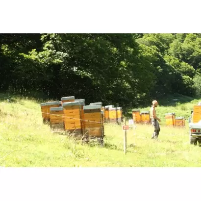 Ruchers sédentaires de la Ferme de Charmagat au cœur des Pyrénées Ariégeoises