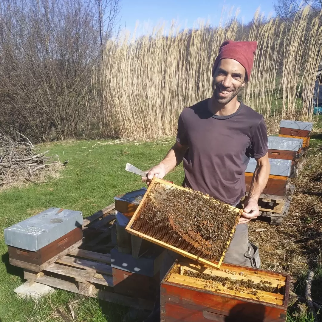 Miel de Montagne Bio des Pyrénées - Ferme de Charmagat