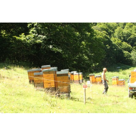 Ruchers sédentaires de la Ferme de Charmagat au cœur des Pyrénées Ariégeoises