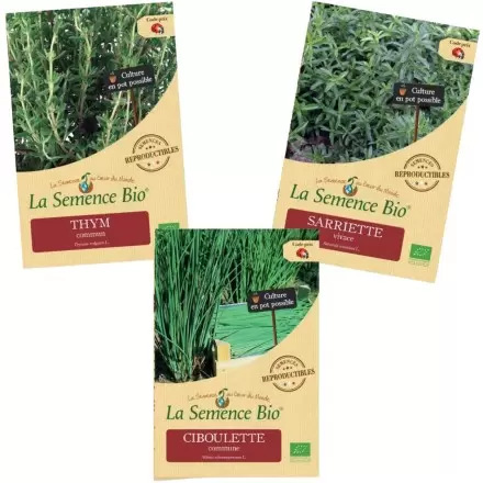 Pack semences aromatiques bio thym sarriette ciboulette – graines reproductibles La Semence Bio culture en pot jardin aromatique