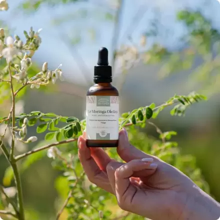 Huile de moringa bio anti-pollution | Comptoir des Huiles