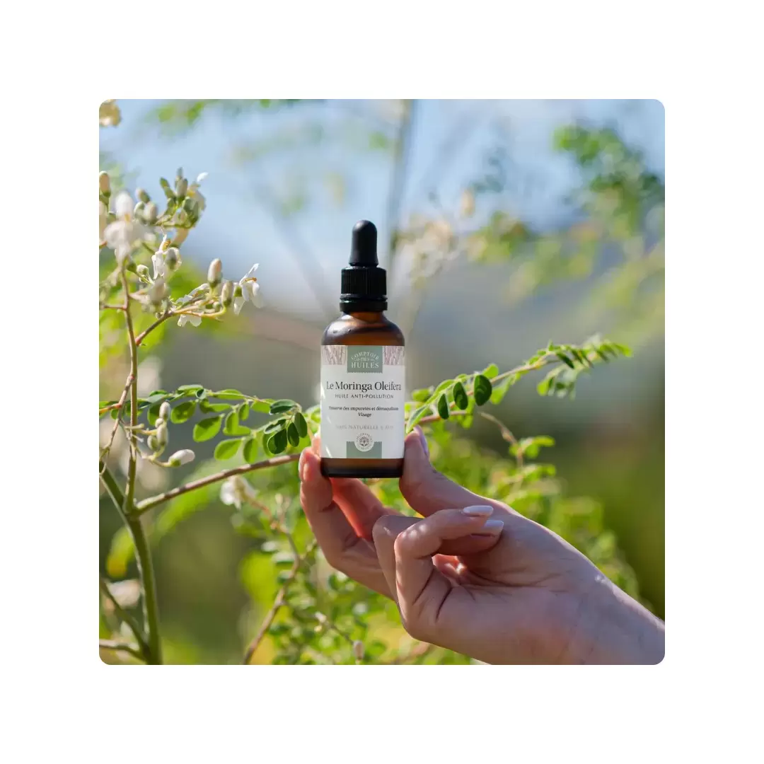 Huile de moringa bio anti-pollution | Comptoir des Huiles