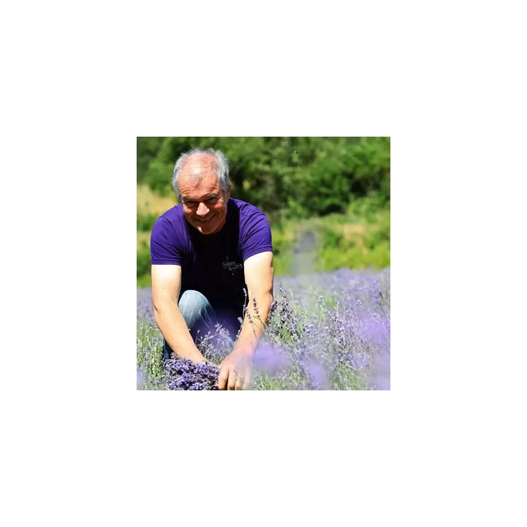 Eau Florale de Lavande Fine de la Drôme 100% Pure 200ml | Distillerie des 4 Vallées