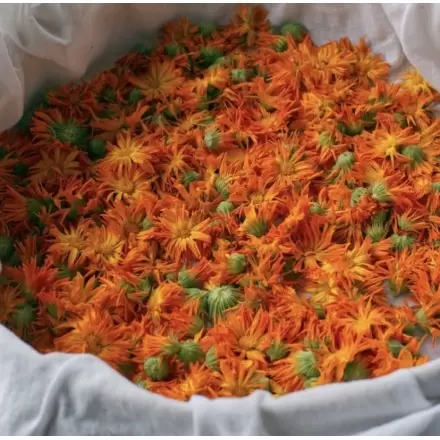 Fabrication artisanale monastique du Baume Visage & Corps Sensible Camomille & Calendula Flori'sain