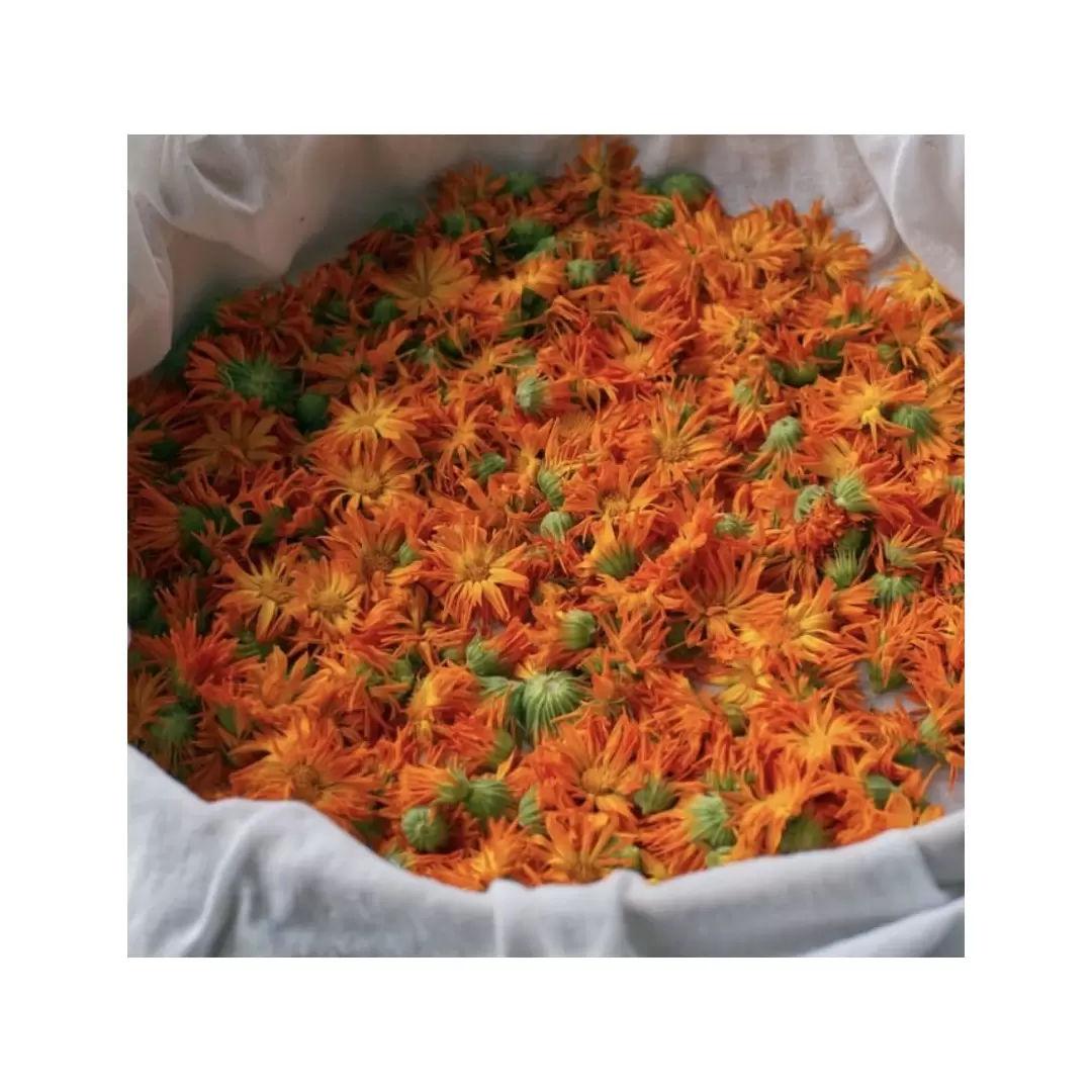 Baume Sensible Camomille Calendula – Peaux Sensibles | Flori'Sain