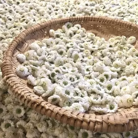 Array