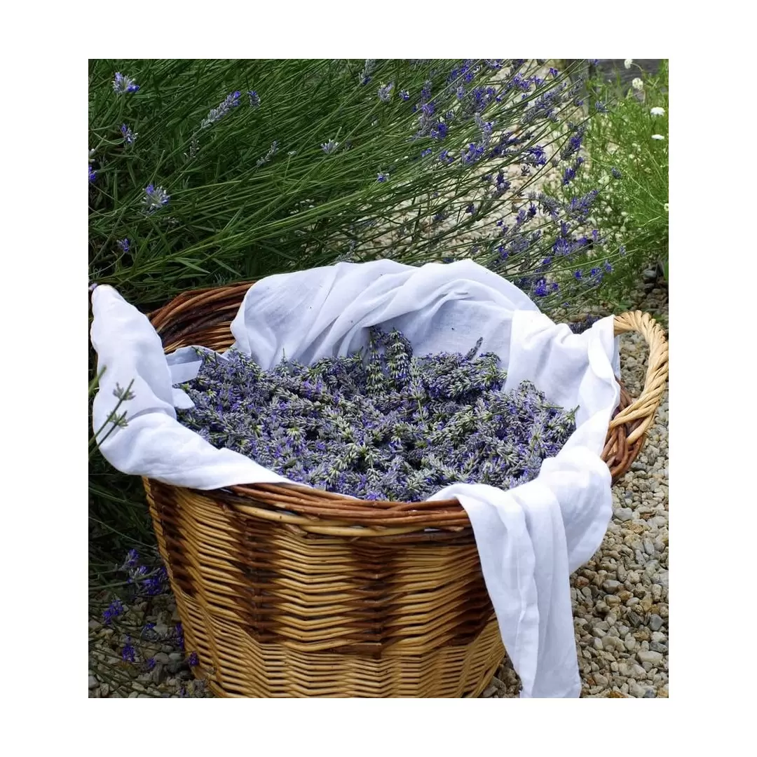 Baume Visage Trois Fleurs – Soin de Nuit Naturel | Flori'Sain