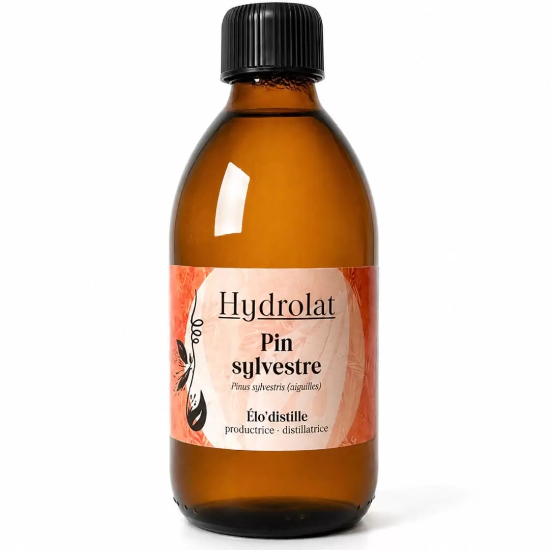 Hydrolat de Pin Sylvestre Bio de l'Aveyron - 250 ml - Qualité alimentaire - Élo'Distille