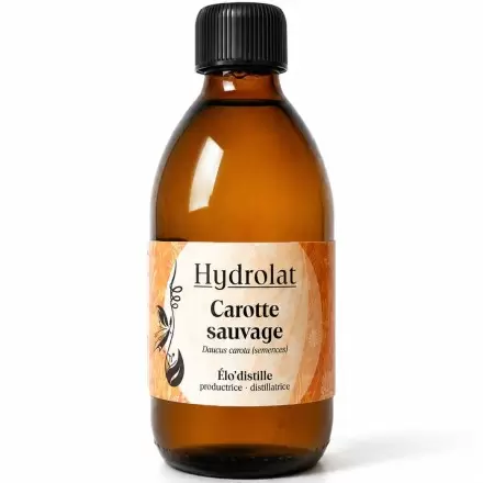 Hydrolat de Carotte Sauvage Bio de l'Aveyron - 250 ml - Qualité alimentaire - Élo'Distille