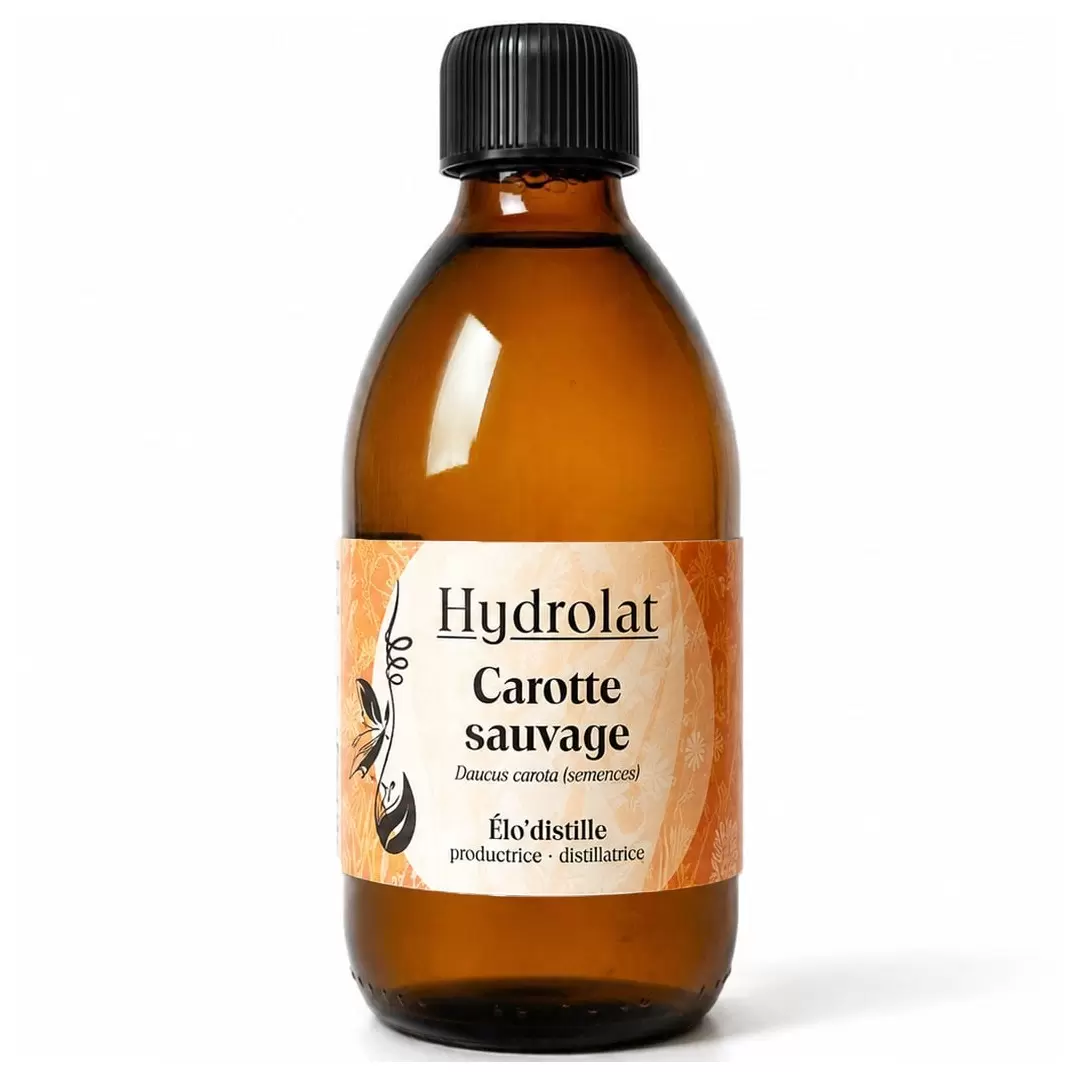 Hydrolat de Carotte Sauvage Bio de l'Aveyron - 250 ml - Qualité alimentaire - Élo'Distille