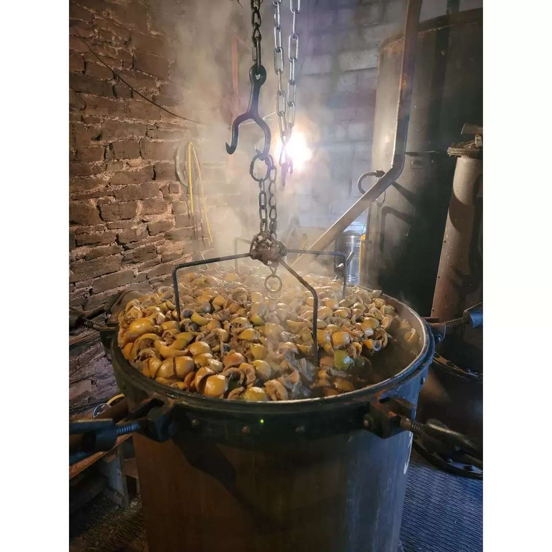 Huile Essentielle de Citron Bio de l'Aveyron | Élo'Distille