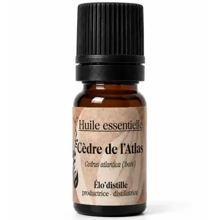 Huile Essentielle de Cèdre de l'Atlas Sauvage Bio de l'Aveyron | Élo'Distille