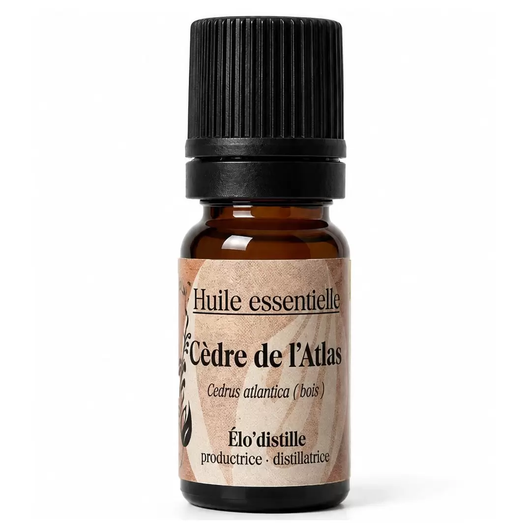 Huile Essentielle de Cèdre de l'Atlas Sauvage Bio de l'Aveyron | Élo'Distille