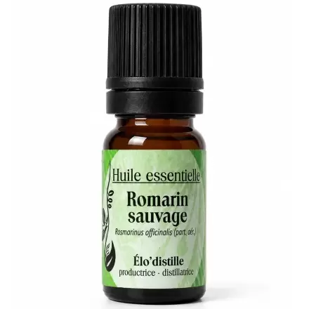 Huile Essentielle de Romarin Sauvage Bio de l'Aveyron - 1,8-Cinéole / Camphre | Élo'Distille