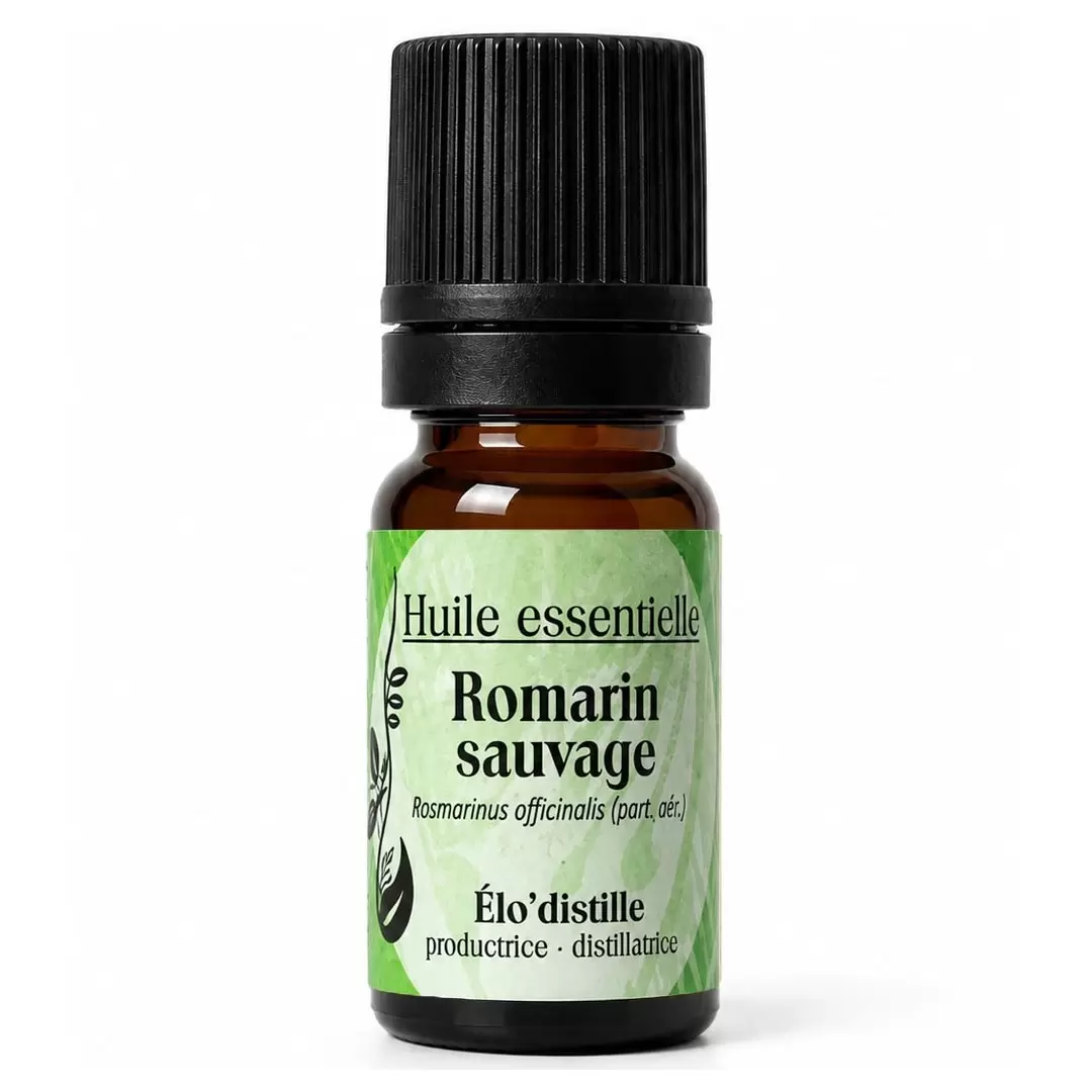 Huile Essentielle de Romarin Sauvage Bio de l'Aveyron - 1,8-Cinéole / Camphre | Élo'Distille