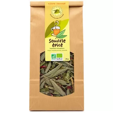 Tisane Voies Respiratoires Bio Souffle Épicé du Jura - Plantes sauvages