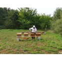 Miel de fleurs d'été du Haut-Bugey - 500g - Le Rucher des Fées Léma