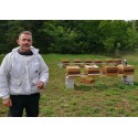 Miel de printemps du Haut-Bugey - 500g - Le Rucher des Fées Léma