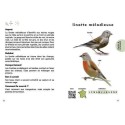 Coffret: Le petit guide des oiseaux + mangeoire