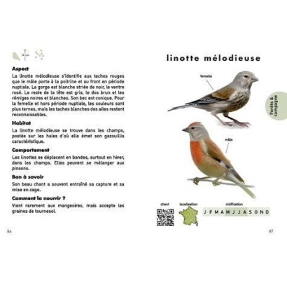 Coffret: Le petit guide des oiseaux + mangeoire