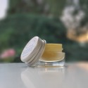 Baume à lèvres BIO au miel & calendula - Le Goût du Miel