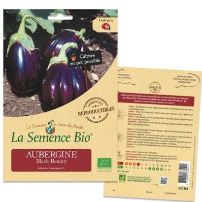 Graines Aubergine Black Beauty BIO - La Semence Bio