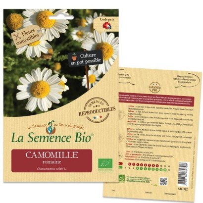 Graines Camomille Romaine BIO - La Semence Bio