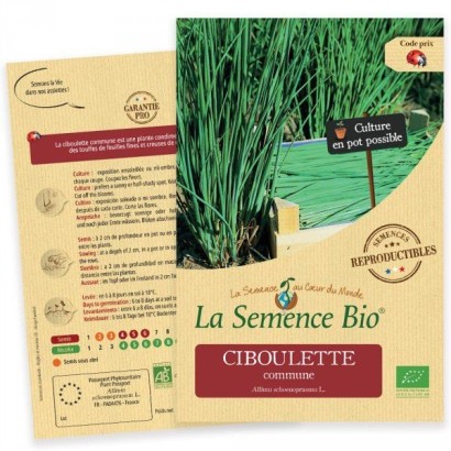 Graines Ciboulette commune BIO - La Semence Bio