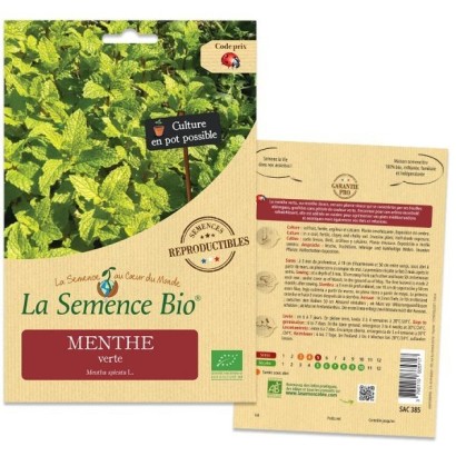 Graines Menthe Verte BIO - La Semence Bio