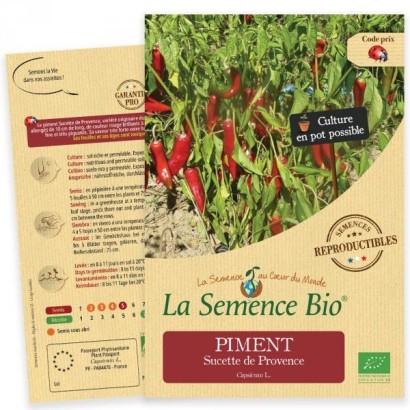 Graines Piment Sucette de Provence BIO - La Semence Bio