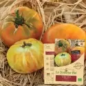 Graines Tomate Ananas BIO - La Semence Bio